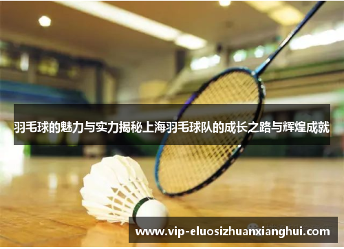 羽毛球的魅力与实力揭秘上海羽毛球队的成长之路与辉煌成就